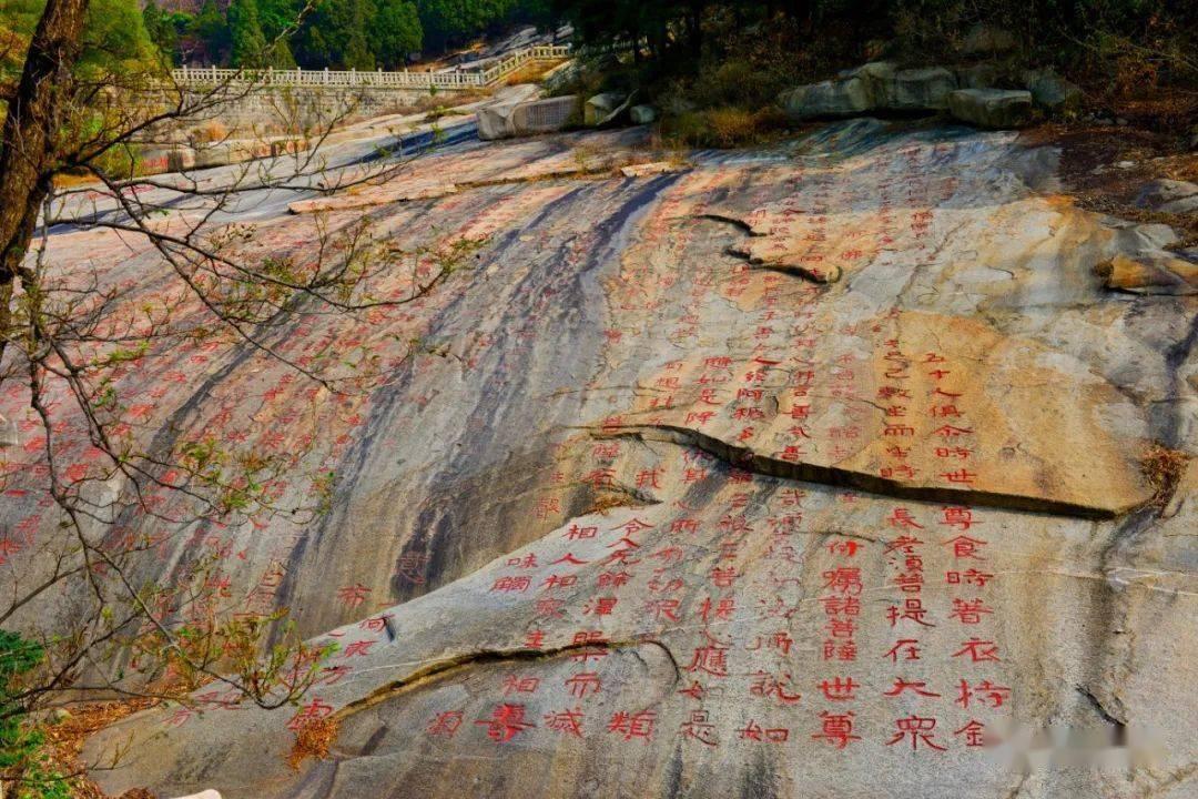 发现冷知识的重新开始的网名平台